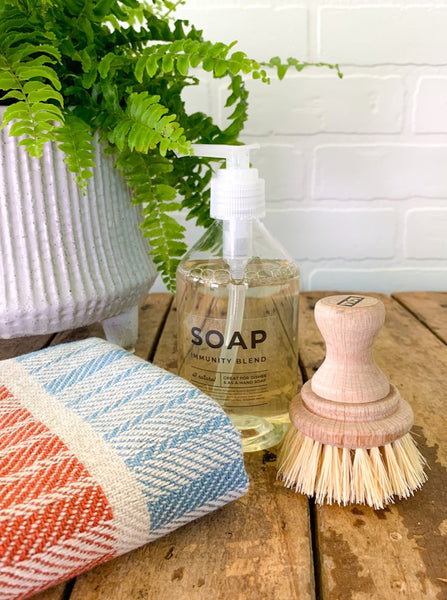 All Natural Soap and Brush